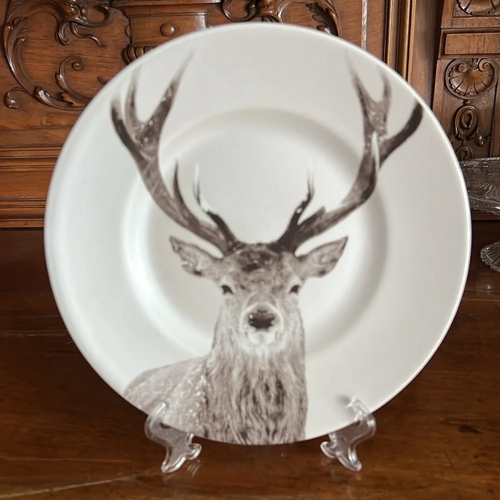 Pier 1 Imports 1 “Winter Forest” Accent Plate